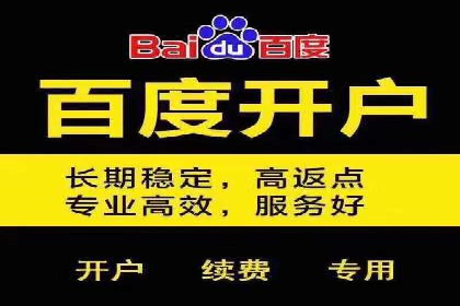 百度平台推广案例：助力企业快速扩张